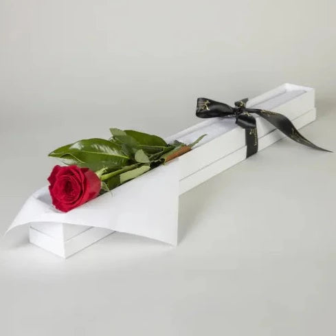 Single Red Rose in Presentation Box  They say the meaning behind a single rose is love at first sight! This single red rose lays within an alluring presentation box, tied off with classy black ribbon. This romantic gift is an elegant way to show your love and appreciation. Order First Red Rose today!