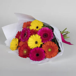Assorted Gerbera Bouquet  Celebrate with Colourful Gerberas! This explosion of colourful gerberas is sure to delight, featuring yellow, orange, pink gerberas wrapped in white paper, tied with a pink ribbon. They'll be drawn to this striking floral gift that evokes happiness, love and laughter, making this gerbera bouquet the perfect gift for any occasion year round.